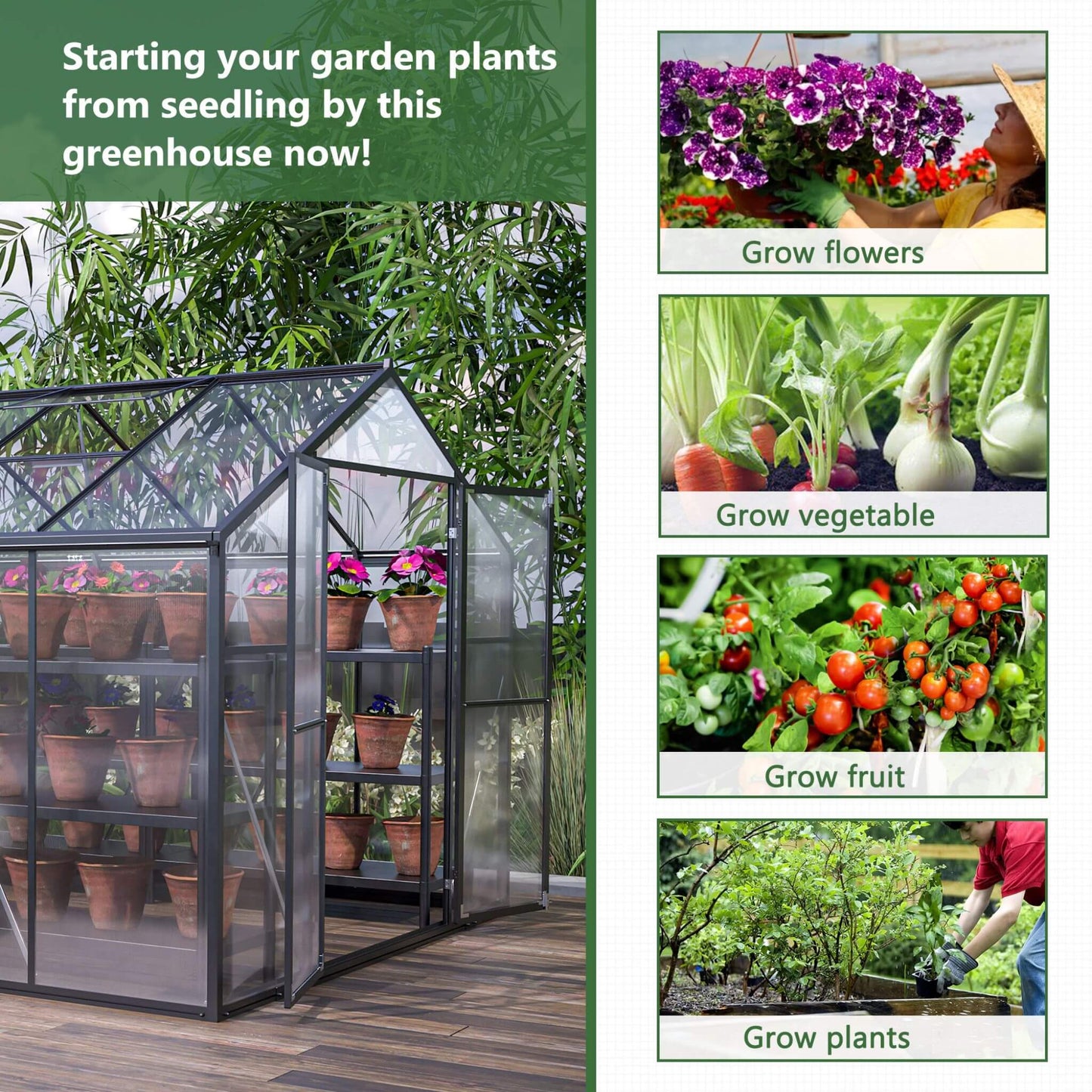 Greenhouse with potted plants and images of gardening activities on a white background