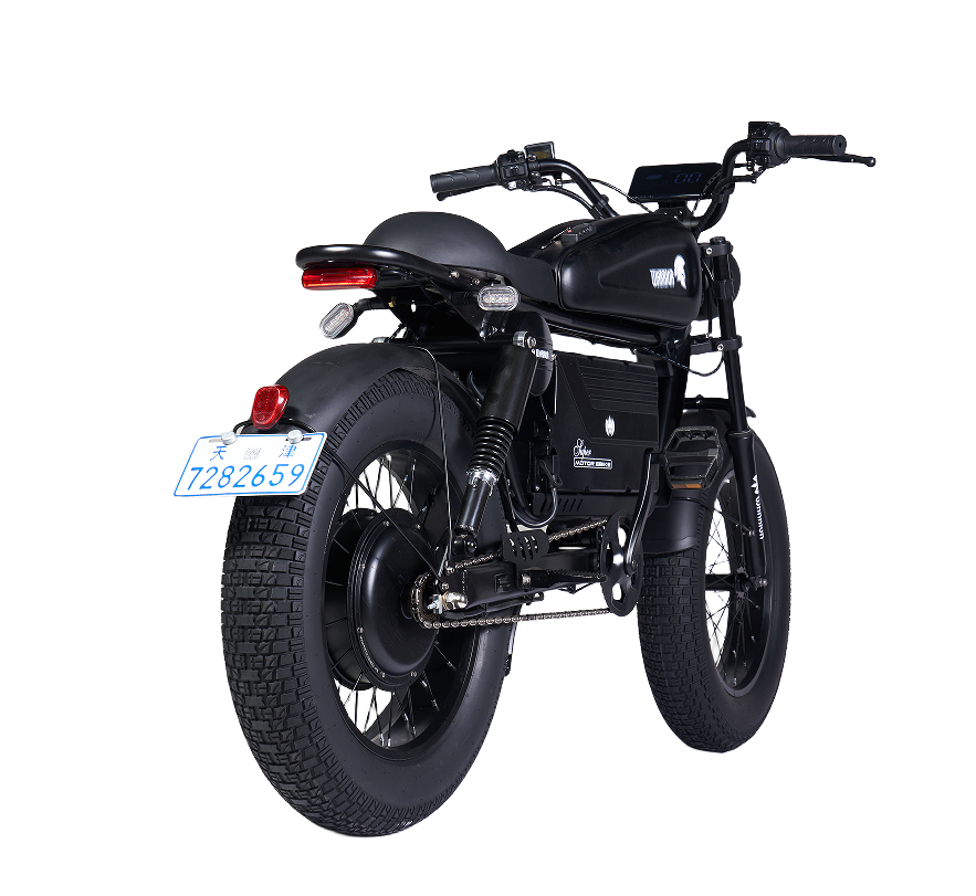 SoverSky Knight (“Black Warrior”) Electric Fat Tire Bike