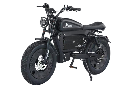 SoverSky Knight (“Black Warrior”) Electric Fat Tire Bike