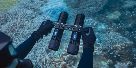 LEFEET P1 / P1 XR Dual Rail Kit