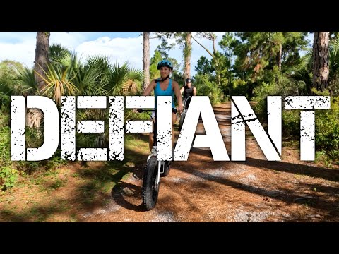 JupiterBike Defiant Fat Tire Folding Electric Bike