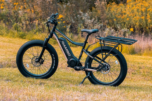 Rambo Electric Bike Rack Platform