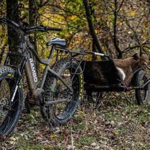 Bike Trailers & Carts
