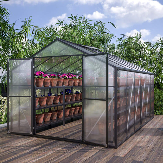 Greenhouse with plants on a wooden deck