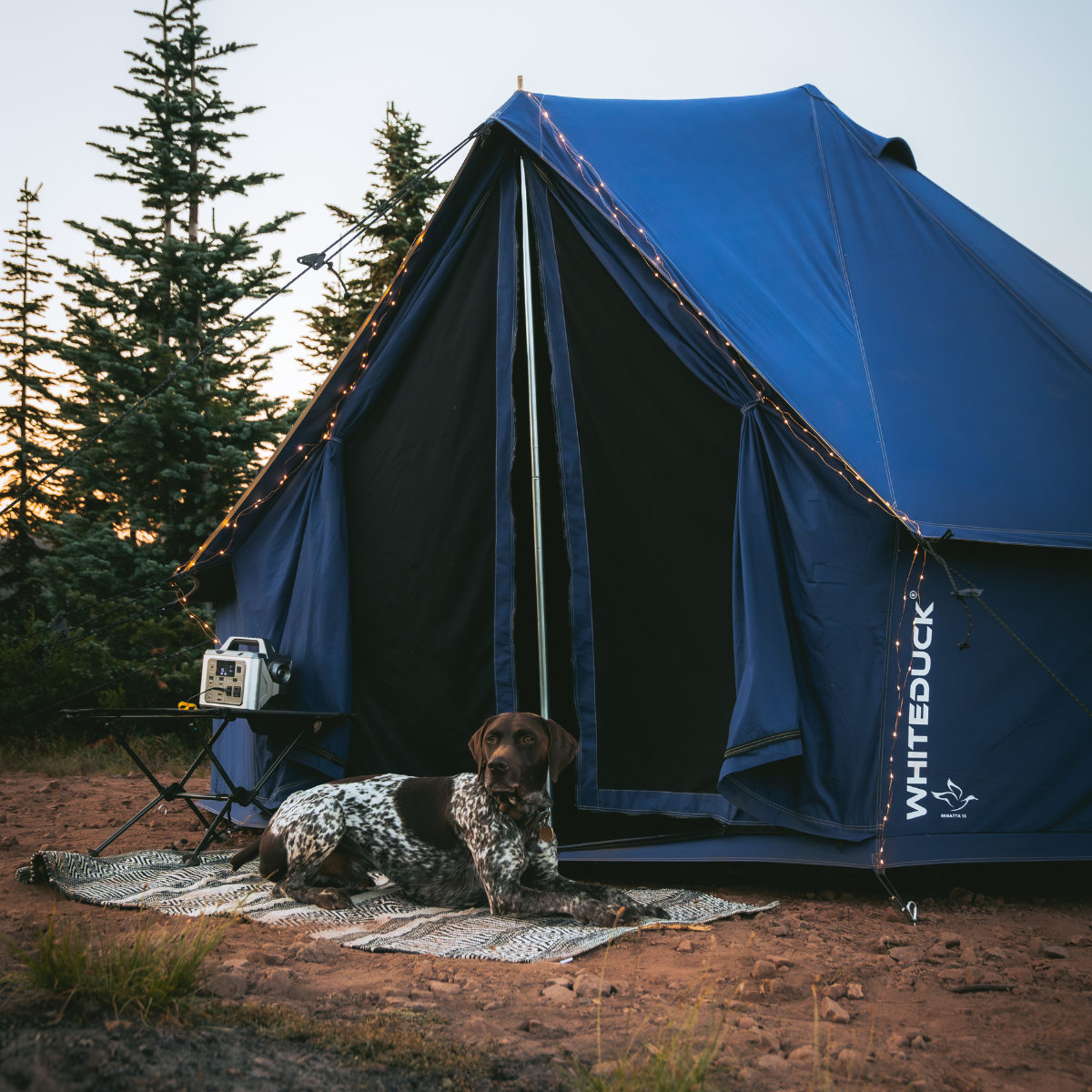 WhiteDuck Outdoors 20' Regatta Bell Tent
