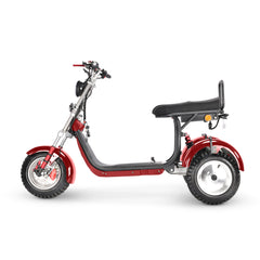SoverSky T7.4 – 4000 W Dual-Drive All‑Terrain Swinging Trike
