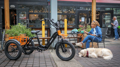 ENVO Flex Trike — Fat Tire Electric Adult Trike (Foldable, Differential RWD)