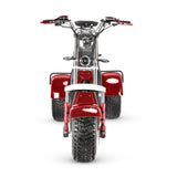 SoverSky T7.4 – 4000 W Dual-Drive All‑Terrain Swinging Trike