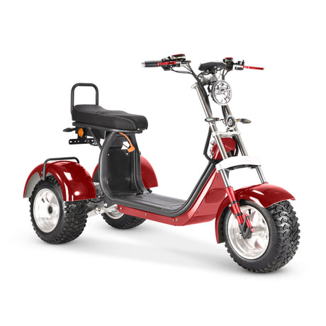 SoverSky T7.4 – 4000 W Dual-Drive All‑Terrain Swinging Trike