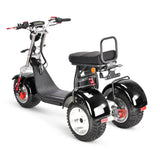 SoverSky T7.4 – 4000 W Dual-Drive All‑Terrain Swinging Trike