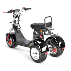 SoverSky T7.4 – 4000 W Dual-Drive All‑Terrain Swinging Trike