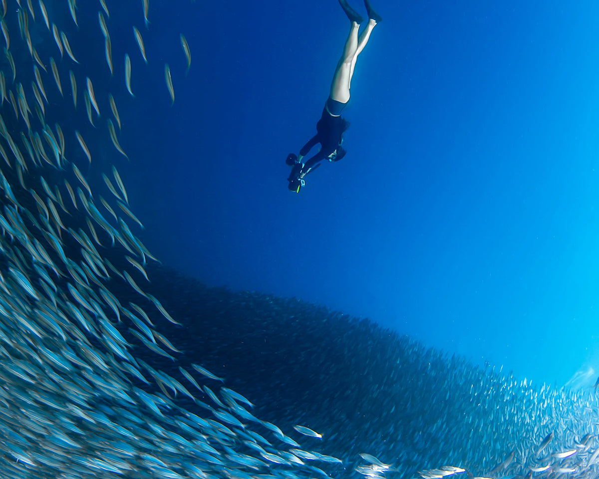 Sublue Navbow Underwater Scooter – Professional Diving Propulsion Device