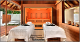 Medical Saunas- Commercial Spa 488
