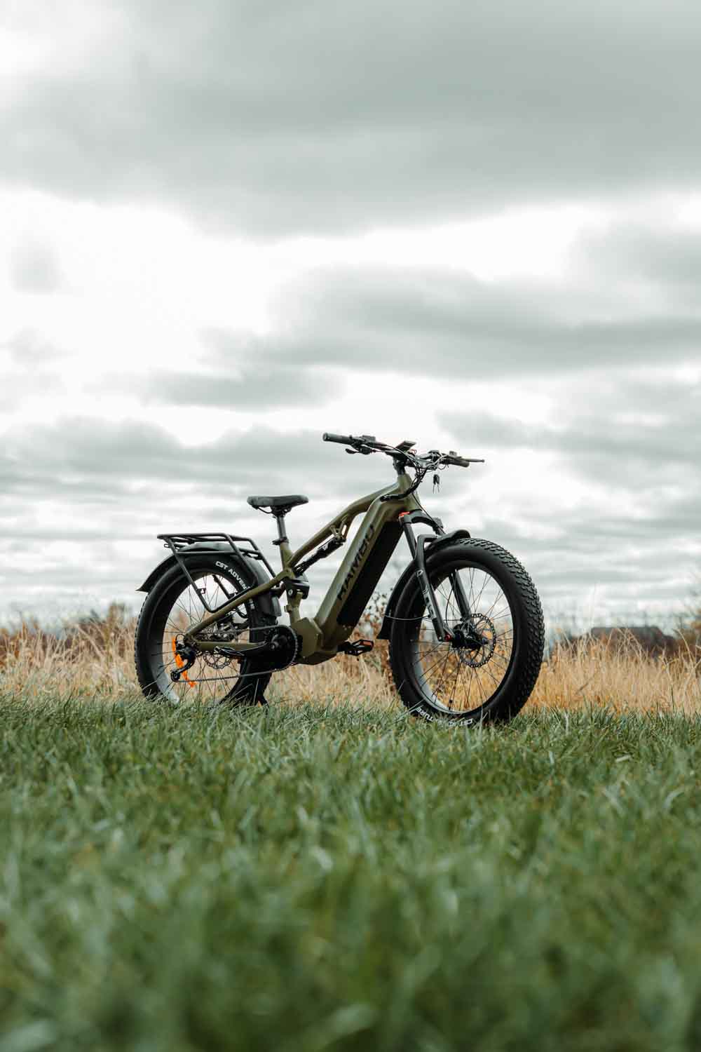 Rambo Bikes 1000W Dominator HD Full Suspension Electric Bike