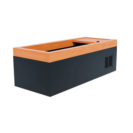 Medical Frozen 1 cold plunge tub