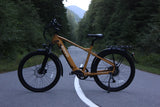 ENVO D50 Electric Hardtail Mountain Bike (Class 3)
