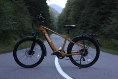 ENVO D50 Electric Hardtail Mountain Bike (Class 3)