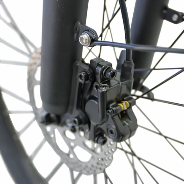 JupiterBike Journey Electric Bike (Step-Thru)