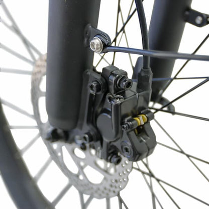 JupiterBike Journey Electric Bike (Step-Thru)