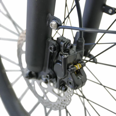 JupiterBike Journey Electric Bike (Step-Thru)