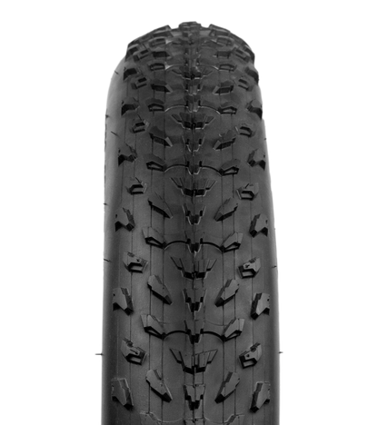 Kenda Anti Puncture Fat Tires