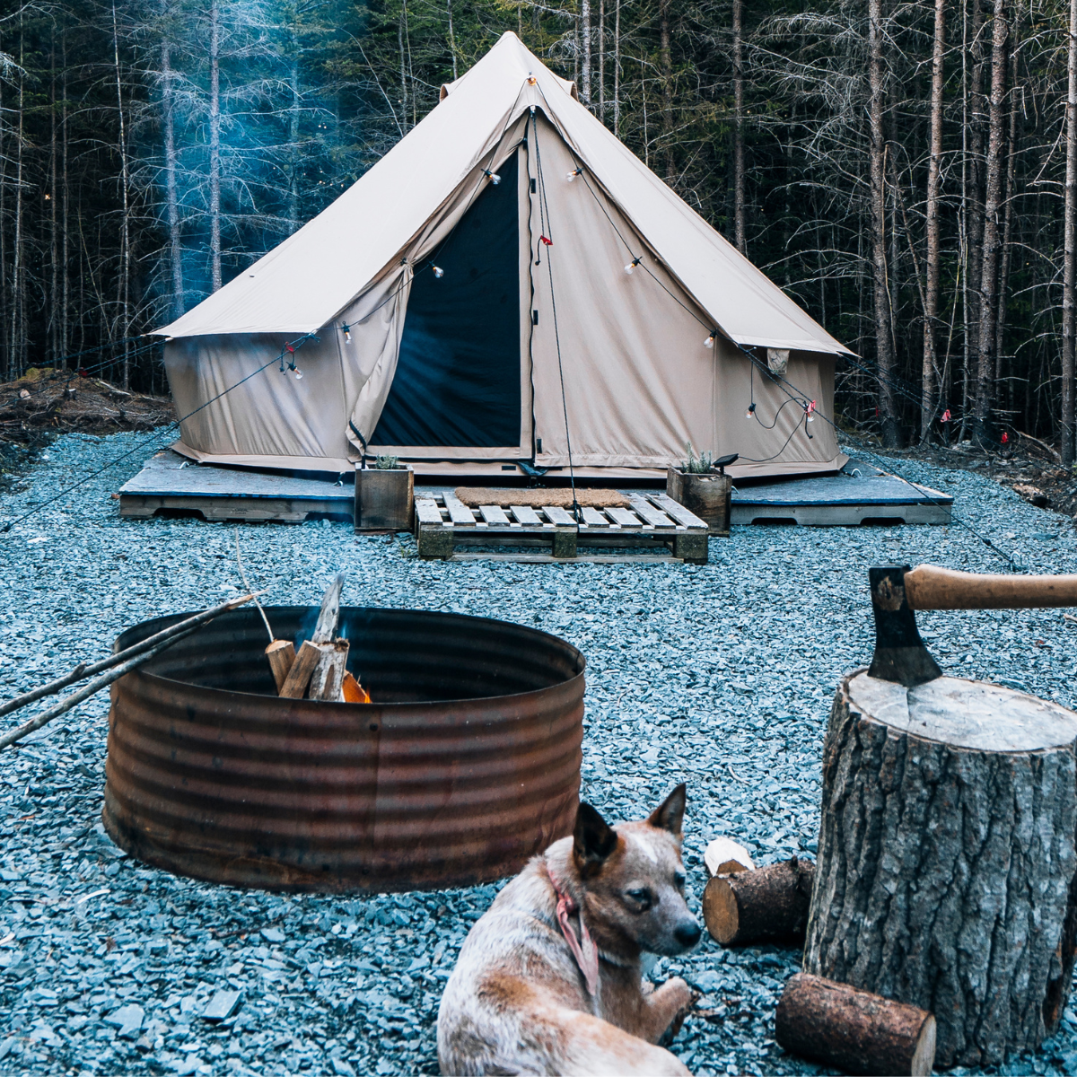Camping scene with a tent, fire pit, and dog in a forest setting
