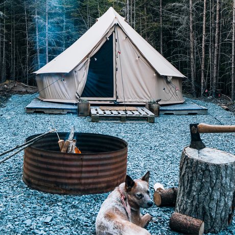 Camping scene with a tent, fire pit, and dog in a forest setting