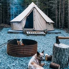 Camping scene with a tent, fire pit, and dog in a forest setting