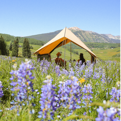 Two people sitting under a tent in a field of flowers with mountains in the background