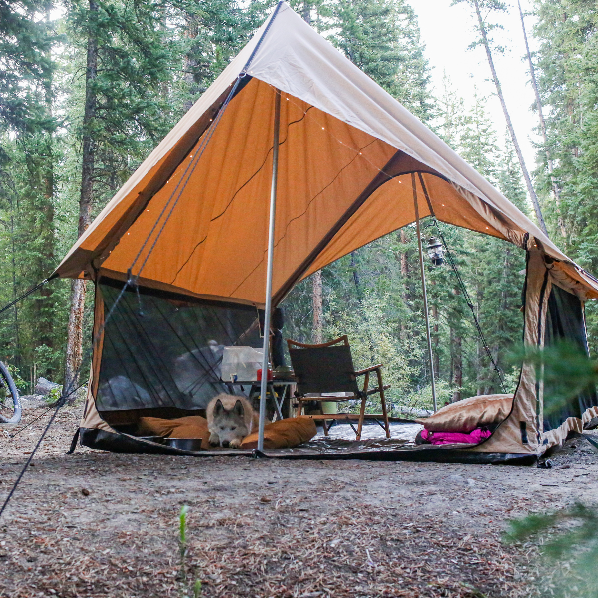 Camping tent in a forest setting with a chair and small table inside.