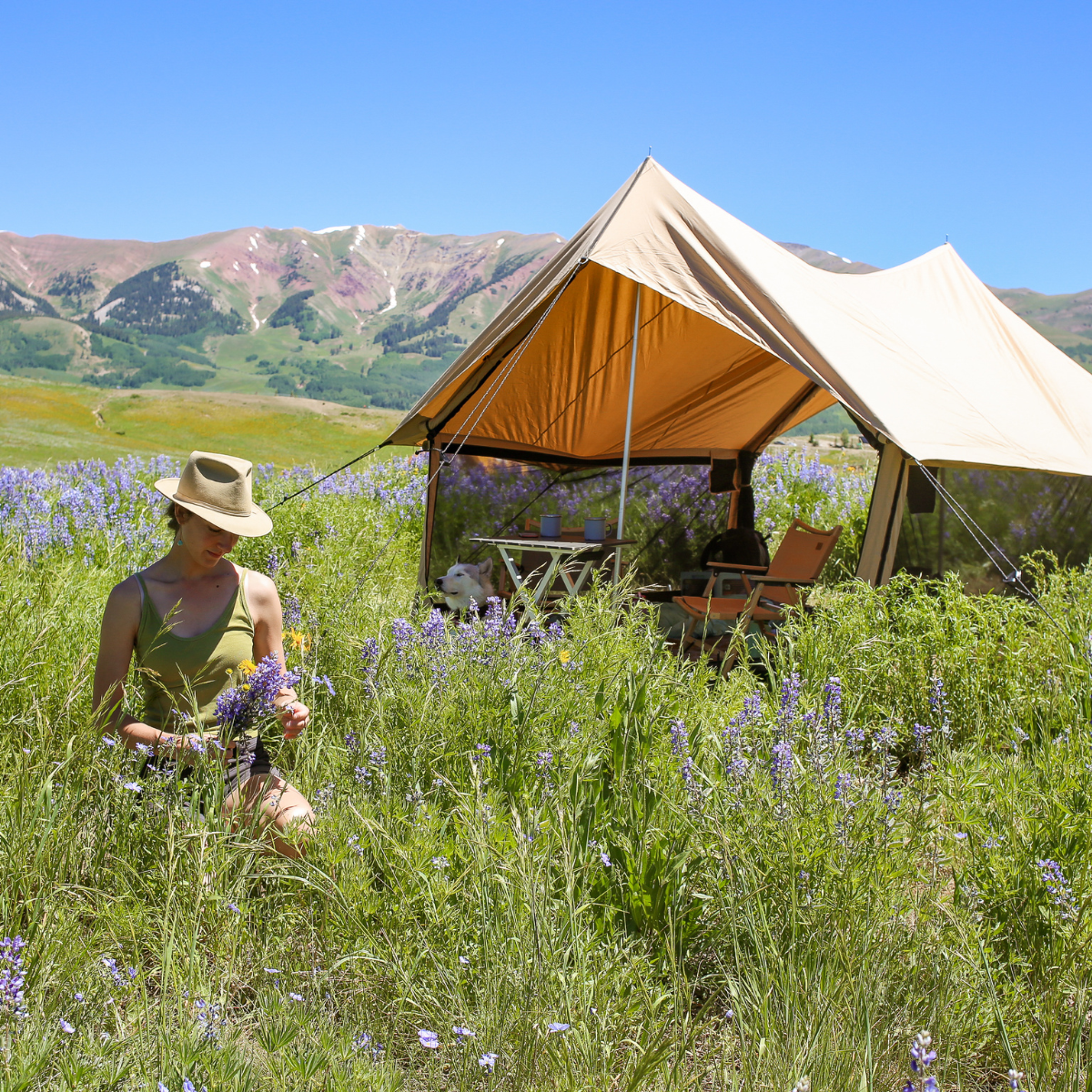 Person in a field of wildflowers with a tent in the background