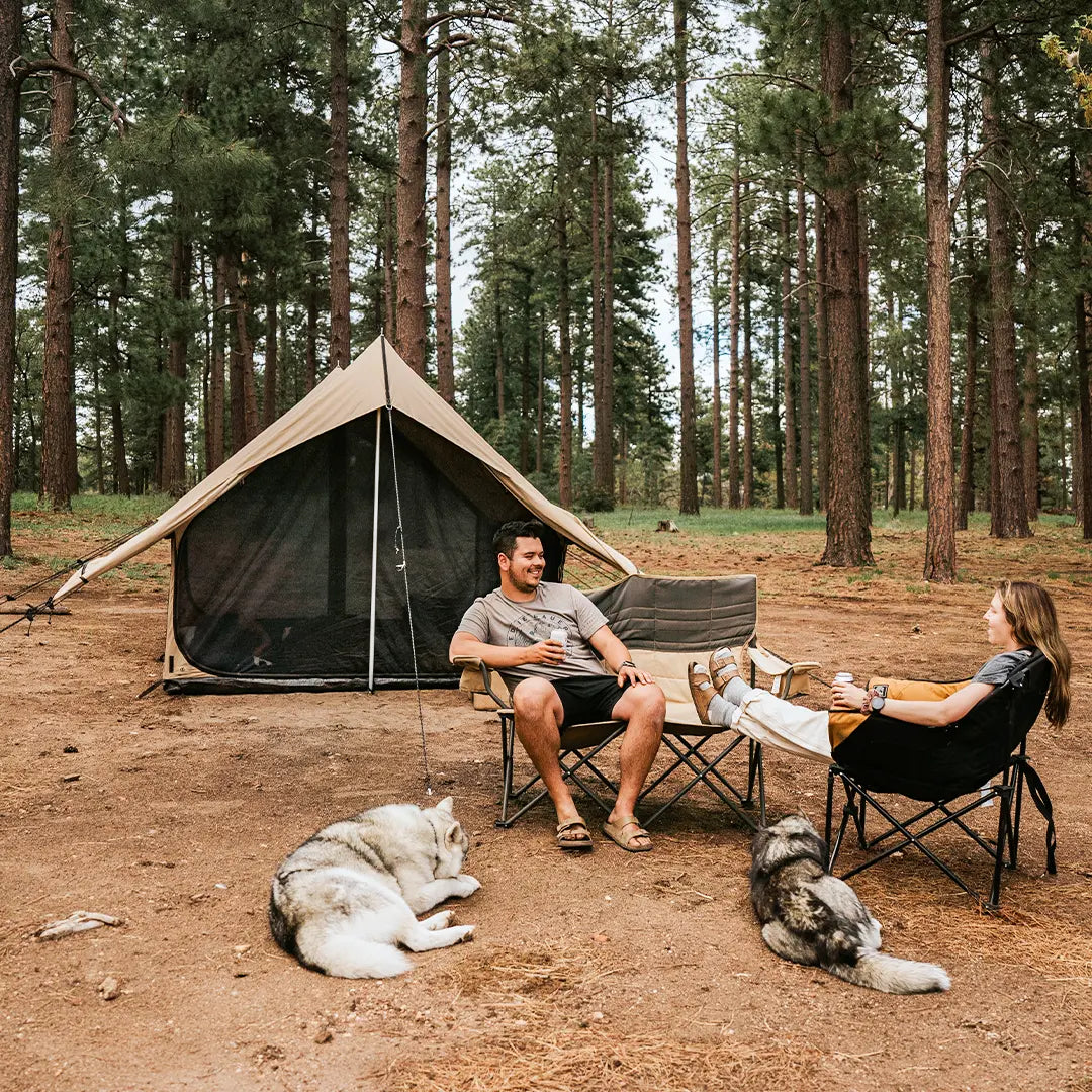 Two people sitting in chairs with two dogs near a tent in a forest.