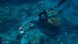 LEFEET S1 PRO Freediving / Scuba Booster Strap Kit