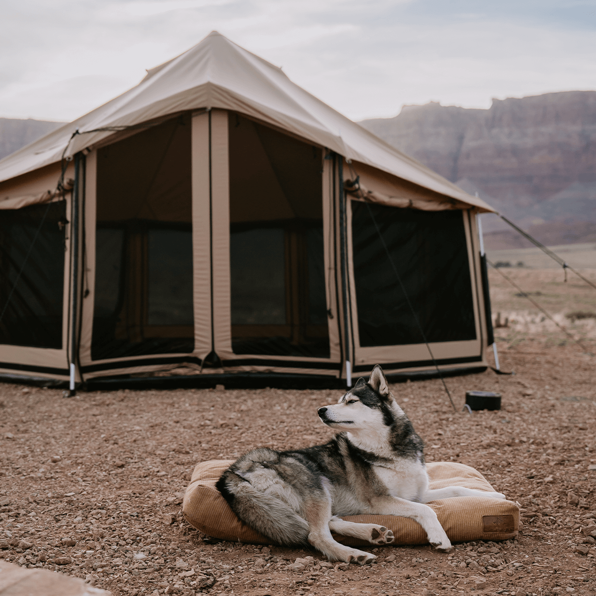 WhiteDuck Outdoors 18' Altimus Bell Tent | 4-Season Luxury Camping Tent