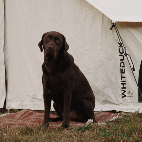 WhiteDuck Outdoors 16.5' Avalon Bell Tent | Premium 4-Season Glamping Tent