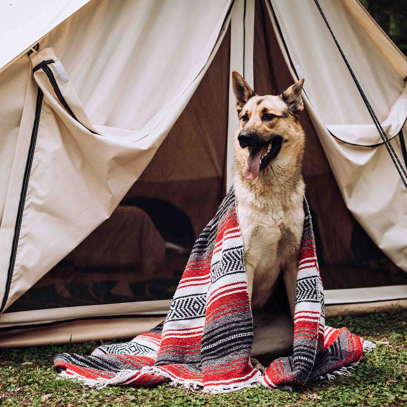 WhiteDuck Outdoors 13' Avalon Bell Tent | Luxury 4-Season Canvas Tent
