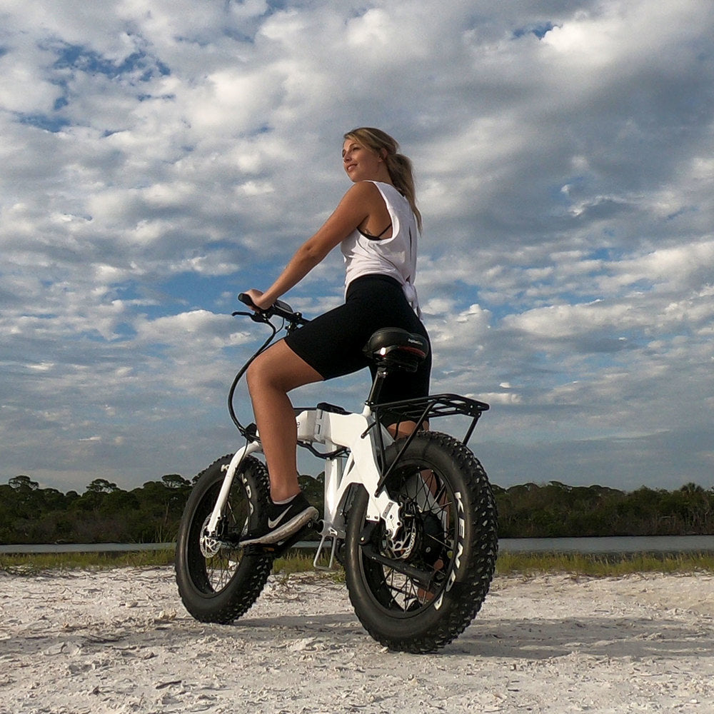 Fat tire electric bike for sand and snow