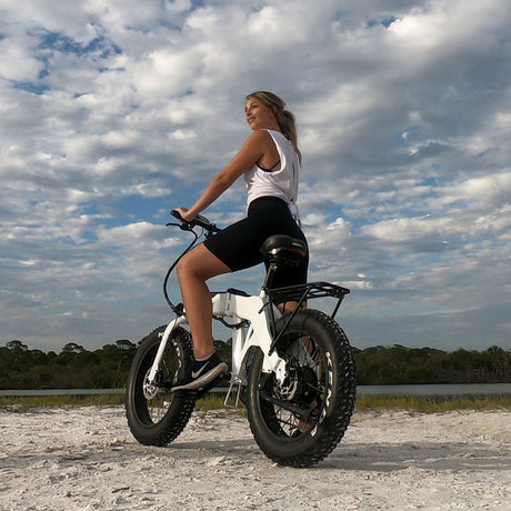 Fat tire electric bike for sand and snow