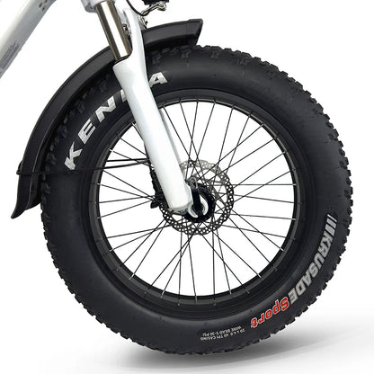 JupiterBike Defiant ST Fat Tire Folding Electric Bike