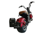 Extra Lithium Battery - SoverSky Scooter Back-Up Removable Battery