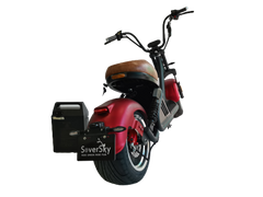 Extra Lithium Battery - SoverSky Scooter Back-Up Removable Battery