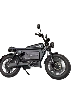 SoverSky Knight (“Black Warrior”) Electric Fat Tire Bike