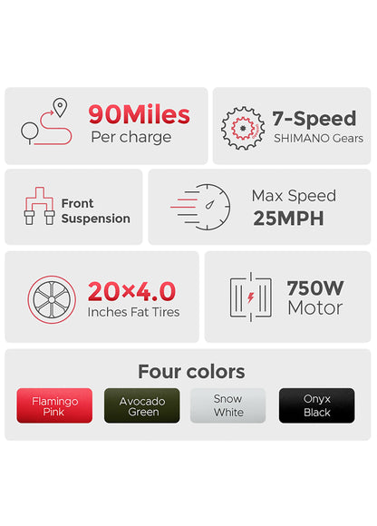 750W peak 960W motor on Engwe L20 electric bike

