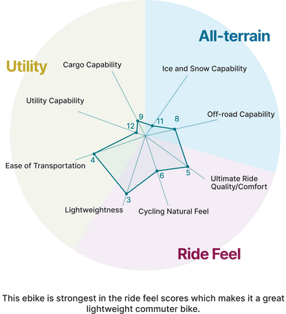ENVO Lynx 20" Electric Bike