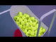Lobster Sports Elite One Tennis Ball Machine – Enhanced Spin, Speed & Lob Training