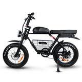 JupiterBike Rogue electric bike side view