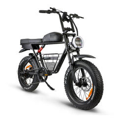 Rogue electric bike fat tire